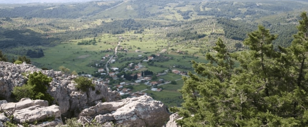 Ο Δασικός Συνεταιρισμός Κυπαρισσίου